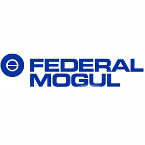 www.federalmogul.com.tr